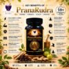 Key benefits of PranaRudra infographic (60 capsules)