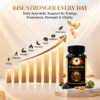 Infographic of PranaRudra's daily benefits — energy, strength, vitality, focus and performance